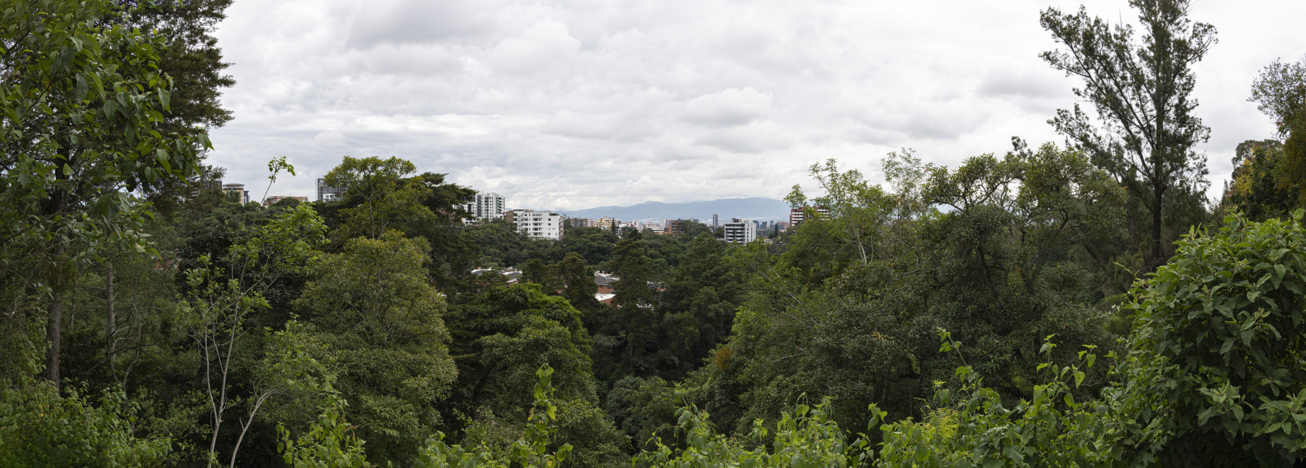 fotografo: antonio w. morales duarte